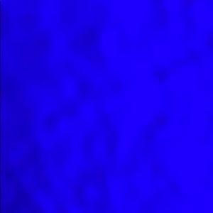 Meet your Posher, Roy